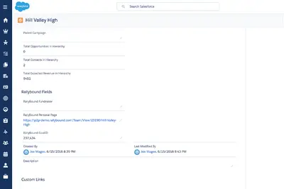 Neon Fundraise — Salesforce plugin