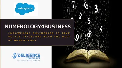 Numerology4Business — Salesforce plugin