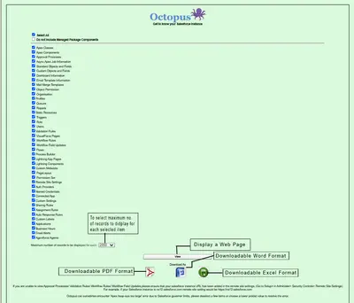 Octopus — Salesforce plugin