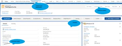 Opportunity to Order Conversion App by Dhruvsoft — Salesforce plugin