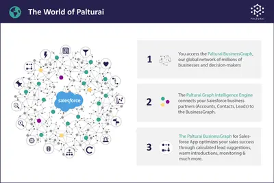 PALTURAI BusinessGraph for Salesforce — Salesforce plugin
