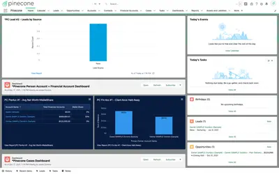 Pinecone — Salesforce plugin