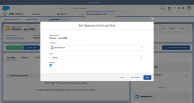 Primary Opportunity Contact Role — Salesforce plugin