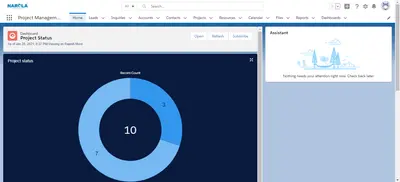 Project Management Application — Salesforce plugin