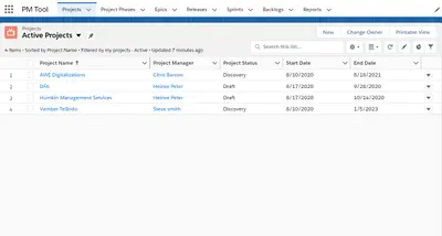 Project Management Tool — Salesforce plugin
