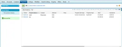 R-CRM — Salesforce plugin