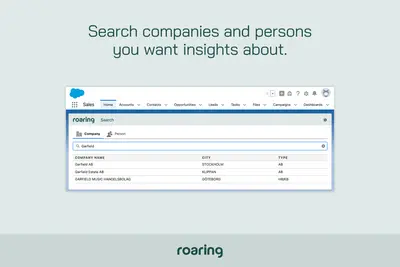 Roaring Insights - Easy KYC, AML & CDD — Salesforce plugin