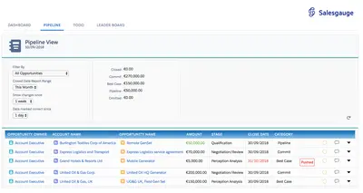 Salesgauge.com — Salesforce plugin