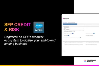 SFP Credit and Risk: a bespoke asset finance software solution — Salesforce plugin