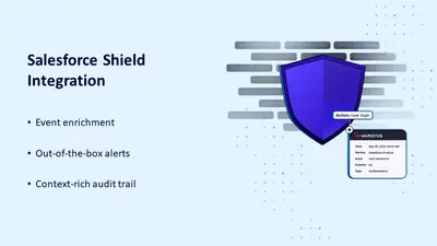 The Varonis Data Security Platform — Salesforce plugin