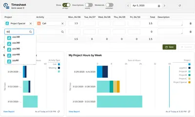 Time & Expense (Professional) — Salesforce plugin