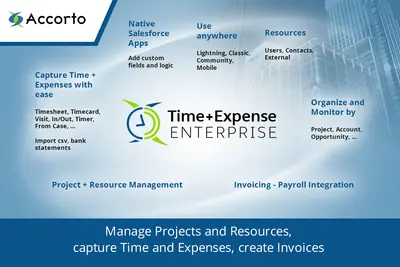 Time&Expense Project — Salesforce plugin