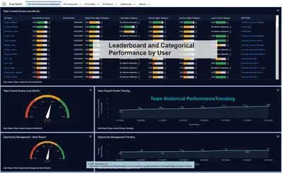 TRUE NORTH - Digital Adoption & Performance Platform — Salesforce plugin