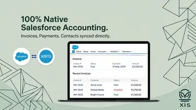 Xero Integration Services — Salesforce plugin